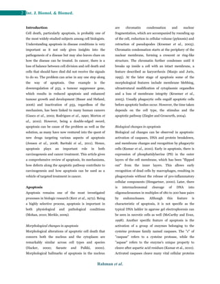 Apoptosis and cancer: insights molecular mechanisms and treatments | PDF