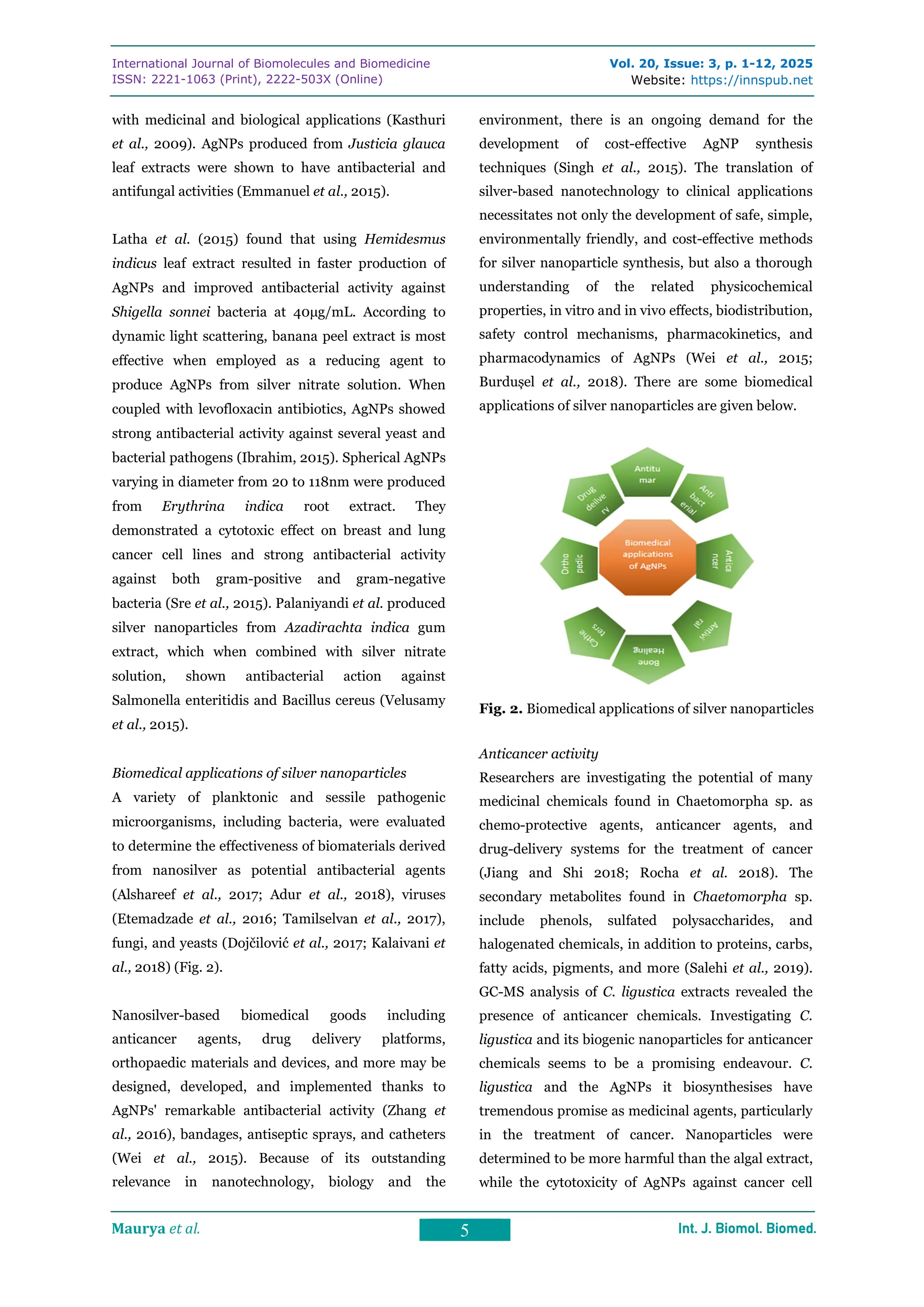 Silver nanoparticles in the biomedical field | PDF