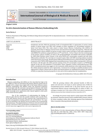 In vitro characterization of Human Olfactory Ensheathing Cells | PDF
