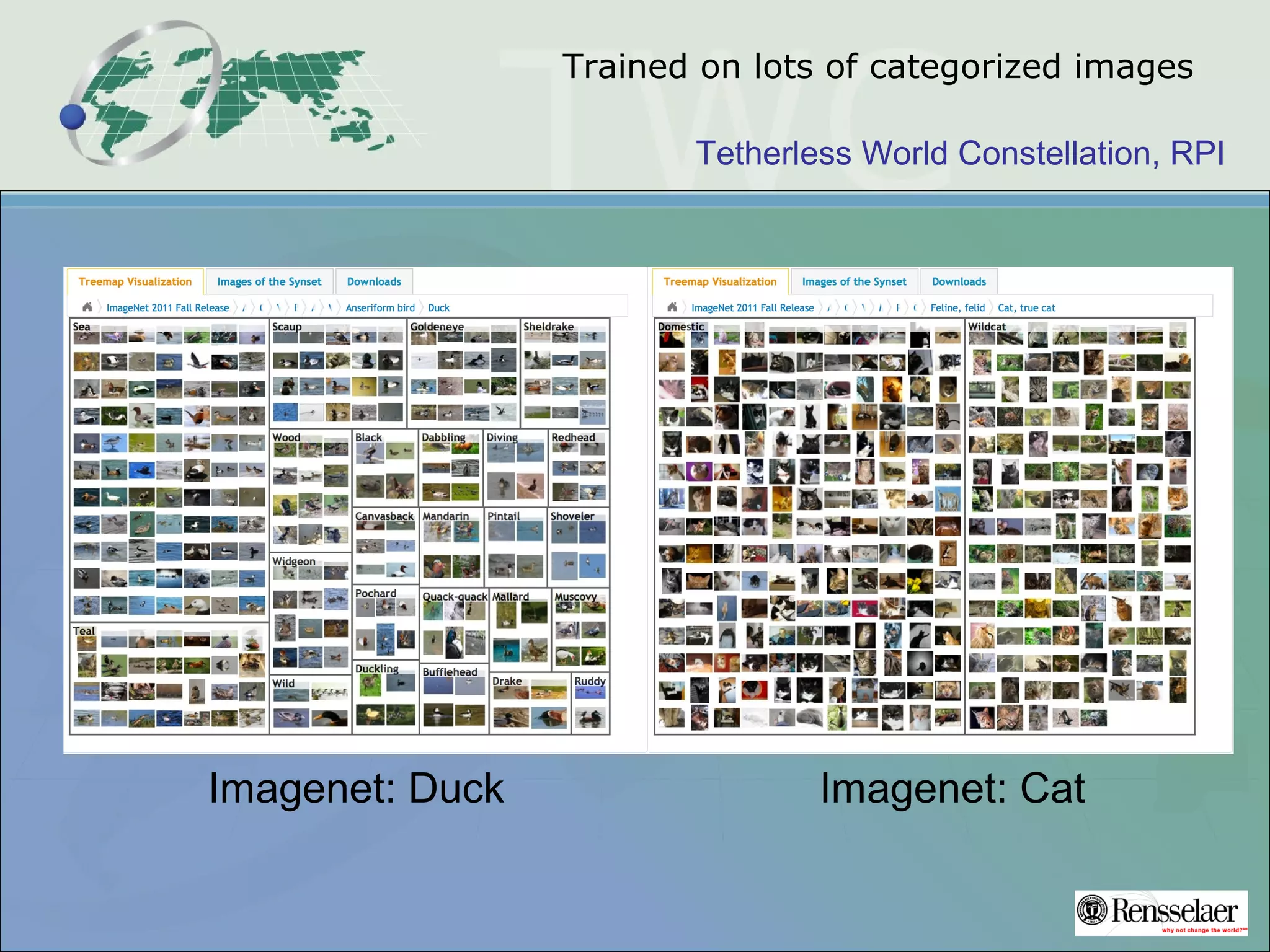Tetherless World Constellation, RPI
Trained on lots of categorized images
Imagenet: Duck Imagenet: Cat
 