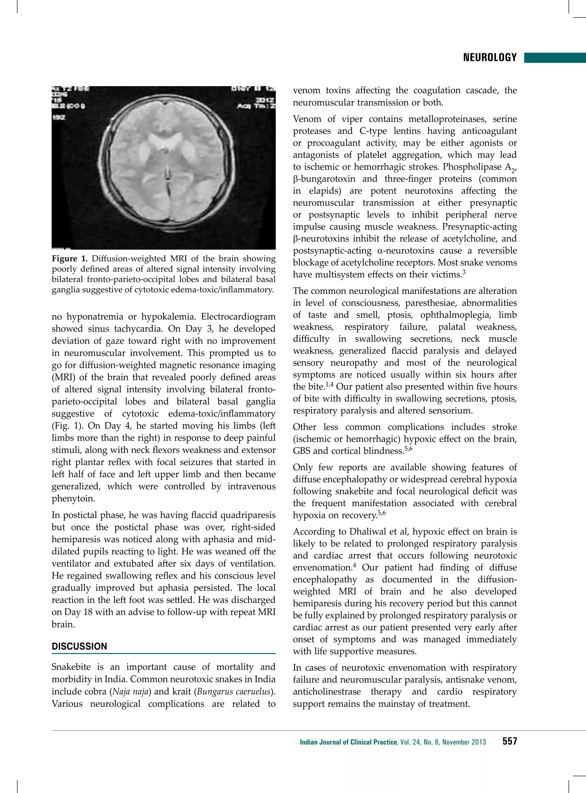 NEUROLOGY
venom toxins affecting the coagulation cascade, the
neuromuscular transmission or both.

Figure 1. Diffusion-weighted MRI of the brain showing
poorly defined areas of altered signal intensity involving
bilateral fronto-parieto-occipital lobes and bilateral basal
ganglia suggestive of cytotoxic edema-toxic/inflammatory.

no hyponatremia or hypokalemia. Electrocardiogram
showed sinus tachycardia. On Day 3, he developed
deviation of gaze toward right with no improvement
in neuromuscular involvement. This prompted us to
go for diffusion-weighted magnetic resonance imaging
(MRI) of the brain that revealed poorly defined areas
of altered signal intensity involving bilateral frontoparieto-occipital lobes and bilateral basal ganglia
suggestive of cytotoxic edema-toxic/inflammatory
(Fig. 1). On Day 4, he started moving his limbs (left
limbs more than the right) in response to deep painful
stimuli, along with neck flexors weakness and extensor
right plantar reflex with focal seizures that started in
left half of face and left upper limb and then became
generalized, which were controlled by intravenous
phenytoin.
In postictal phase, he was having flaccid quadriparesis
but once the postictal phase was over, right-sided
hemiparesis was noticed along with aphasia and middilated pupils reacting to light. He was weaned off the
ventilator and extubated after six days of ventilation.
He regained swallowing reflex and his conscious level
gradually improved but aphasia persisted. The local
reaction in the left foot was settled. He was discharged
on Day 18 with an advise to follow-up with repeat MRI
brain.
Discussion
Snakebite is an important cause of mortality and
morbidity in India. Common neurotoxic snakes in India
include cobra (Naja naja) and krait (Bungarus caeruelus).
Various neurological complications are related to

Venom of viper contains metalloproteinases, serine
proteases and C-type lentins having anticoagulant
or procoagulant activity, may be either agonists or
antagonists of platelet aggregation, which may lead
to ischemic or hemorrhagic strokes. Phospholipase A2,
β-bungarotoxin and three-finger proteins (common
in elapids) are potent neurotoxins affecting the
neuromuscular transmission at either presynaptic
or postsynaptic levels to inhibit peripheral nerve
impulse causing muscle weakness. Presynaptic-acting
β-neurotoxins inhibit the release of acetylcholine, and
postsynaptic-acting a-neurotoxins cause a reversible
blockage of acetylcholine receptors. Most snake venoms
have multisystem effects on their victims.3
The common neurological manifestations are alteration
in level of consciousness, paresthesiae, abnormalities
of taste and smell, ptosis, ophthalmoplegia, limb
weakness, respiratory failure, palatal weakness,
difficulty in swallowing secretions, neck muscle
weakness, generalized flaccid paralysis and delayed
sensory neuropathy and most of the neurological
symptoms are noticed usually within six hours after
the bite.1,4 Our patient also presented within five hours
of bite with difficulty in swallowing secretions, ptosis,
respiratory paralysis and altered sensorium.
Other less common complications includes stroke
(ischemic or hemorrhagic) hypoxic effect on the brain,
GBS and cortical blindness.5,6
Only few reports are available showing features of
diffuse encephalopathy or widespread cerebral hypoxia
following snakebite and focal neurological deficit was
the frequent manifestation associated with cerebral
hypoxia on recovery.5,6
According to Dhaliwal et al, hypoxic effect on brain is
likely to be related to prolonged respiratory paralysis
and cardiac arrest that occurs following neurotoxic
envenomation.4 Our patient had finding of diffuse
encephalopathy as documented in the diffusionweighted MRI of brain and he also developed
hemiparesis during his recovery period but this cannot
be fully explained by prolonged respiratory paralysis or
cardiac arrest as our patient presented very early after
onset of symptoms and was managed immediately
with life supportive measures.
In cases of neurotoxic envenomation with respiratory
failure and neuromuscular paralysis, antisnake venom,
anticholinestrase therapy and cardio respiratory
support remains the mainstay of treatment.

Indian Journal of Clinical Practice, Vol. 24, No. 6, November 2013

557

 