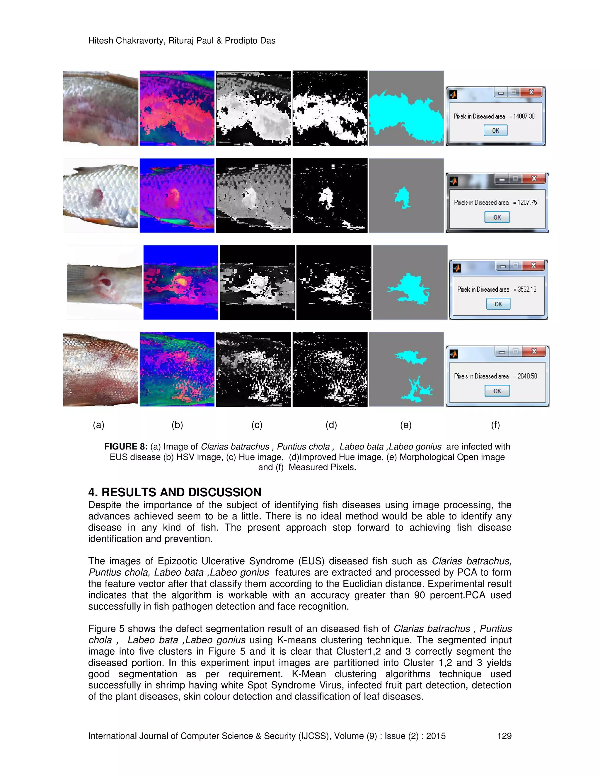 Hitesh Chakravorty, Rituraj Paul & Prodipto Das
International Journal of Computer Science & Security (IJCSS), Volume (9) : Issue (2) : 2015 129
(a) (b) (c) (d) (e) (f)
FIGURE 8: (a) Image of Clarias batrachus , Puntius chola , Labeo bata ,Labeo gonius are infected with
EUS disease (b) HSV image, (c) Hue image, (d)Improved Hue image, (e) Morphological Open image
and (f) Measured Pixels.
4. RESULTS AND DISCUSSION
Despite the importance of the subject of identifying fish diseases using image processing, the
advances achieved seem to be a little. There is no ideal method would be able to identify any
disease in any kind of fish. The present approach step forward to achieving fish disease
identification and prevention.
The images of Epizootic Ulcerative Syndrome (EUS) diseased fish such as Clarias batrachus,
Puntius chola, Labeo bata ,Labeo gonius features are extracted and processed by PCA to form
the feature vector after that classify them according to the Euclidian distance. Experimental result
indicates that the algorithm is workable with an accuracy greater than 90 percent.PCA used
successfully in fish pathogen detection and face recognition.
Figure 5 shows the defect segmentation result of an diseased fish of Clarias batrachus , Puntius
chola , Labeo bata ,Labeo gonius using K-means clustering technique. The segmented input
image into five clusters in Figure 5 and it is clear that Cluster1,2 and 3 correctly segment the
diseased portion. In this experiment input images are partitioned into Cluster 1,2 and 3 yields
good segmentation as per requirement. K-Mean clustering algorithms technique used
successfully in shrimp having white Spot Syndrome Virus, infected fruit part detection, detection
of the plant diseases, skin colour detection and classification of leaf diseases.
 