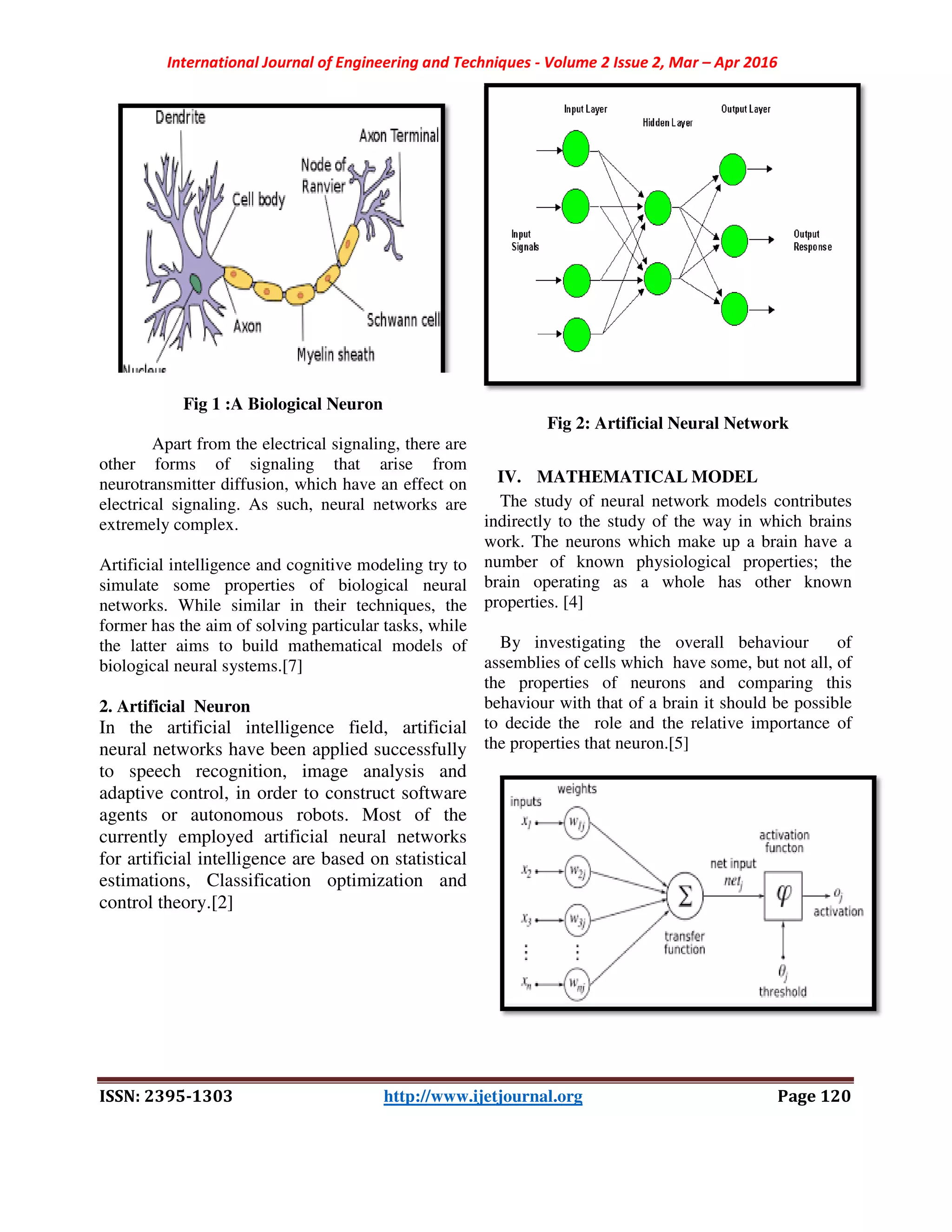 International Journal of Engineering and Techniques
ISSN: 2395-1303
Fig 1 :A Biological Neuron
Apart from the electrical signaling, there are
other forms of signaling that arise from
neurotransmitter diffusion, which have an effect on
electrical signaling. As such, neural networks are
extremely complex.
Artificial intelligence and cognitive modeling
simulate some properties of biologica
networks. While similar in their techniques, the
former has the aim of solving particular tasks, whi
the latter aims to build mathematical models of
biological neural systems.[7]
2. Artificial Neuron
In the artificial intelligence field, artificial
neural networks have been applied successfully
to speech recognition, image analysis
adaptive control, in order to construct
agents or autonomous robots. Most of the
currently employed artificial neural networks
for artificial intelligence are based on
estimations, Classification optimization
control theory.[2]
International Journal of Engineering and Techniques - Volume 2 Issue 2, Mar –
1303 http://www.ijetjournal.org
Fig 1 :A Biological Neuron
Apart from the electrical signaling, there are
other forms of signaling that arise from
diffusion, which have an effect on
electrical signaling. As such, neural networks are
cognitive modeling try to
simulate some properties of biological neural
networks. While similar in their techniques, the
former has the aim of solving particular tasks, while
the latter aims to build mathematical models of
field, artificial
networks have been applied successfully
image analysis and
, in order to construct software
. Most of the
currently employed artificial neural networks
for artificial intelligence are based on statistical
optimization and
Fig 2: Artificial Neural Network
IV. MATHEMATICAL MODEL
The study of neural network models contributes
indirectly to the study of the way in which brains
work. The neurons which make up a brain have a
number of known physiological properties; the
brain operating as a whole has other known
properties. [4]
By investigating the overall
assemblies of cells which have some, but not all, of
the properties of neurons and comparing this
behaviour with that of a brain it should be possible
to decide the role and the relative importance
the properties that neuron.[5]
– Apr 2016
Page 120
Fig 2: Artificial Neural Network
MODEL
The study of neural network models contributes
indirectly to the study of the way in which brains
work. The neurons which make up a brain have a
number of known physiological properties; the
brain operating as a whole has other known
By investigating the overall behaviour of
es of cells which have some, but not all, of
the properties of neurons and comparing this
behaviour with that of a brain it should be possible
to decide the role and the relative importance of
 