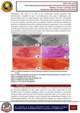 5324
ISSN: 2347-1697
International Journal of Informative & Futuristic Research (IJIFR)
Volume - 4, Issue -2, October 2016
Continuous 38th Edition, Page No: 5322-5326
P. D. Smitha, K. R. Binoy, Ashalatha S. Nair :: Cytological Analysis
Of Callus Cultures Of Diploid Musa Acuminata c.v.Njalipoovan
embryogenic calli (Type 2) in most of the combinations showed interphase with
chromocentres. Compared to type 1 non-embryogenic calli, type 2 embryogenic calli
showed diploid cells in a high frequency with nucleolus (Fig.5). The cells with diploid
chromosome numbers were shown in Fig 6. The dividing cells at metaphase were observed
in very low frequency in both the calli. A remarkable variation in chromosome number was
observed in leafsheath derived calli at different hormonal concentrations. It was noted that
karyotypic composition of callus cultures ranges from diploid to tetraploid. It was clear
from the present observation that in this callus line there was a tendency to an increase of
the proportion of euploids. Besides the change in the chromosome number, alterations in the
morphology of chromosome were also observed.
Figure 1: Mitotic preparation of roots of field grown plants showing chromosome number
2n=22
Figure 2: Mitotic preparation of roots of in vitro plantlet showing chromosome number 2n=22.
Figure 3: Polyploid cell showing 3n=33
Figure 4: Polyploid cell showing tetraploidy (44)
Figure 5: Diploid cell with nucleolus
Figure 6: in vitro cell showing diploidy
IV. DISCUSSION
Stability of plant genome under in vitro condition is an important factor, determining
the successful application of any culture system. In some plant system lack of such
instability result in increased variability, which was commonly described as somaclonal
variation (Larkin and Scowcroft,1981).Variations associated with in vitro culture can be
classified as chromosomal changes as well as physical and morphological changes in the
undifferentiated plantlets. The most widely employed technique for creating variation via
tissue culture has been the regeneration of plantlets through the callus phase. In the present
 
