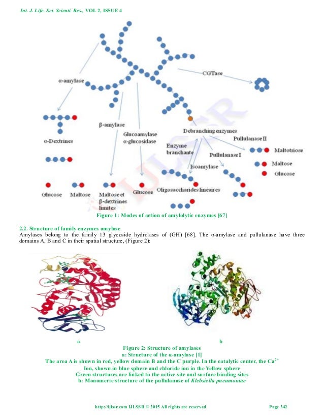 Amylolytic Yeasts Producers of αamylase and Pullulanase