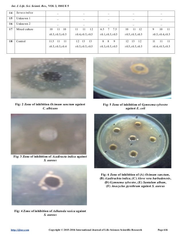 thesis antimicrobial activity medicinal plants thesis antimicrobial activity medicinal plants