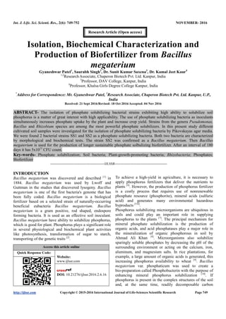 Int. J. Life. Sci. Scienti. Res., 2(6): 749-752 NOVEMBER- 2016
http://ijlssr.com Copyright © 2015-2016 International Journal of Life-Sciences Scientific Research Page 749
Isolation, Biochemical Characterization and
Production of Biofertilizer from Bacillus
megaterium
Gyaneshwar Patel1
, Saurabh Singh2
, Dr. Sunit Kumar Saxena3
, Dr. Kamal Jeet Kaur4
1,2
ResearchAssociate, Chaperon Biotech Pvt. Ltd. Kanpur, India
3
Professor, DAV College, Kanpur, India
4
Professor, Khalsa Girls Degree College Kanpur, India
*
Address for Correspondence: Mr. Gyaneshwar Patel, 1
Research Associate, Chaperon Biotech Pvt. Ltd. Kanpur, U.P.,
India
Received: 21 Sept 2016/Revised: 18 Oct 2016/Accepted: 04 Nov 2016
ABSTRACT- The isolation of phosphate solubilizing bacterial strains exhibiting high ability to solubilize soil
phosphorus is a matter of great interest with high applicability. The use of phosphate solubilizing bacteria as inoculants
simultaneously increases phosphate uptake by the plant and increase crop yield. Strains from the genera Pseudomonas,
Bacillus and Rhizobium species are among the most powerful phosphate solubilizers. In this present study different
cultivated soil samples were investigated for the isolation of phosphate solubilizing bacteria by Pikovskayas agar media.
We were found 2 bacterial strains SS1 and SS2 as a phosphate solubilizing bacteria. Both two bacteria are characterized
by morphological and biochemical tests. The strain SS2 was confirmed as a Bacillus megaterium. Then Bacillus
megaterium is used for the production of longer sustainable phosphate solbulizing biofertilizer. After an interval of 180
days it has 5x1013
CFU count.
Key-words- Phosphate solubilization; Soil bacteria; Plant-growth-promoting bacteria; Rhizobacteria; Phosphates;
Biofertilizer
-------------------------------------------------IJLSSR-----------------------------------------------
INTRODUCTION
Bacillus megaterium was discovered and described [1]
in
1884. Bacillus megaterium was used by Lwoff and
Guttman in the studies that discovered lysogeny. Bacillus
megaterium is one of the first bacteria's genome that has
been fully coded. Bacillus megaterium is a biological
fertilizer based on a selected strain of naturally-occurring
beneficial eubacteria Bacillus megaterium. Bacillus
megaterium is a gram positive, rod shaped, endospore
forming bacteria. It is used as an effective soil inoculant.
Bacillus megaterium have ability to solubilize phosphorus,
which is good for plant. Phosphorus plays a significant role
in several physiological and biochemical plant activities
like photosynthesis, transformation of sugar to starch,
transporting of the genetic traits [2]
.
Access this article online
Quick Response Code:
Website:
www.ijlssr.com
DOI: 10.21276/ijlssr.2016.2.6.16
To achieve a high-yield in agriculture, it is necessary to
apply phosphorus fertilizers that deliver the nutrients to
plants [4]
. However, the production of phosphorus fertilizer
is a costly process that requires use of nonrenewable
phosphate resource (phosphorite), mineral acids (sulfuric
acid) and generates many environmental hazardous
byproducts [5-6]
.
Phosphorus solubilizing microorganisms are ubiquitous in
soils and could play an important role in supplying
phosphorus to the plants [7]
. The principal mechanism for
mineral phosphate solubilization is the production of
organic acids, and acid phosphatases play a major role in
the mineralization of organic phosphorous in soil by
Ahmad Ali Khan [8]
. Microorganisms also solubilize
sparingly soluble phosphates by decreasing the pH of the
surrounding environment or acting on the calcium, iron,
aluminum, and magnesium salts. In rice plantations, for
example, a large amount of organic acids is generated, this
increasing phosphorus availability to wheat [9]
. Bacillus
megaterium var. phosphaticum was used to create a
bio-preparation called Phosphobucterin with the purpose of
enhancing mineral phosphorus solubilization [10]
. If
phosphorus is present in the complex structures of the soil
and, at the same time, readily decomposable carbon
Research Article (Open access)
 