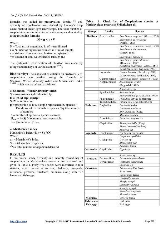 What is phytoplankton image