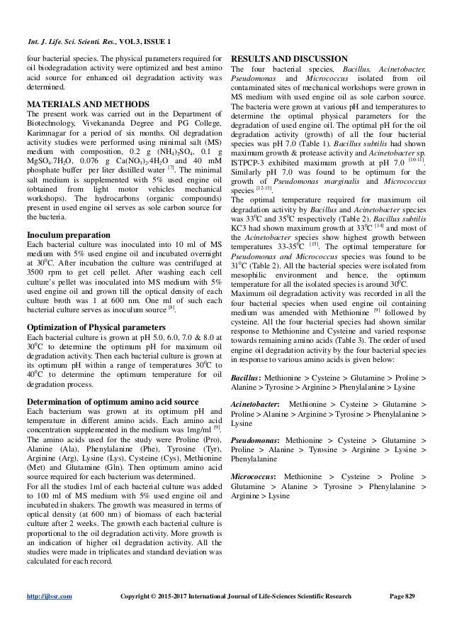 Petroleum degrading bacteria image