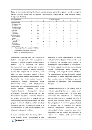 23 Horril et al.
Table 1. Antimicrobial activity of different propolis samples against Gram-positive and Gram-negative
bacteria. (Propolis sample used: 1- California; 2- Washington; 3- Australia; 4- Latvia; 5-Russia; 6-Bicol;
7-Laguna; 8- Quezon)
Microorganisms Propolis samples
1 2 3 4 5 6 7 8
Gram-positive
B. megaterium + + + + + – + –
M. luteus ++ ++ ++ ++ ++ – + +
R. rhodochrous – – – – – – – –
S. epidermidis – ++ + ++ – – – –
S. urease + ++ ++ + ++ + ++ –
S. aureus – – + – – + – +
S. griseus – ++ ++ – ++ ++ ++ ++
Gram-negative
B. catarrhalis ++ ++ ++ ++ ++ + ++ –
E. coli – ++ – – ++ – ++ ++
P. aeruginosa ++ + ++ + ++ + + -
P. putida + - + - + - + -
R. rubrum ++ ++ ++ ++ ++ ++ ++ -
S. aurantiaca - - - - - - - -
S. marcesens - - - - - - - -
++ shows significant microbial inhibition
+ shows slight microbial inhibition
– shows no microbial inhibition
Interestingly, the study found that Gram-positive
bacteria were generally more susceptible to
inhibition by propolis compared to Gram-negative
bacteria. This is consistent with existing
literature, which often reports greater sensitivity
of Gram-positive bacteria to phenolic compounds
due to their simpler cell wall structure, which
lacks the outer membrane present in Gram-
negative bacteria (Harborn and Williams, 2000).
Specifically, four Gram-positive bacteria -
Streptomyces griseus, Micrococcus luteus,
Sporosarcina ureae, and Staphylococcus
epidermidis - were effectively inhibited by various
propolis samples. Conversely, four Gram-
negative bacteria - Rhodospirillum rubrum,
Branhamella catarrhalis, Escherichia coli, and
Pseudomonas aeruginosa -were also affected by
the propolis extracts, albeit to varying degrees.
This differential susceptibility suggests that while
propolis is broadly effective, certain structural
features of bacteria, such as the presence of an
outer membrane in Gram-negative bacteria, may
influence the degree of inhibition.
A crucial observation from this study is that no
single propolis sample demonstrated a clear
preference for either Gram-negative or Gram-
positive organisms. Despite variations in the level
of inhibition, all samples were capable of
inhibiting both types of bacteria to some extent.
This finding supports the potential of propolis as a
versatile antimicrobial agent, capable of
addressing a wide range of bacterial infections.
The broad-spectrum activity of propolis, coupled
with its ability to inhibit both Gram-positive and
Gram-negative bacteria, highlights its potential
application in developing new antimicrobial
therapies.
These results contribute to the growing body of
evidence supporting the use of propolis as an
effective antimicrobial agent. The study also
emphasizes the importance of continuing
research into the diverse biological activities of
propolis from different regions. By exploring
the full spectrum of microbial species affected
by propolis, and by analyzing the specific
chemical components responsible for its
antimicrobial effects, researchers can better
understand how to harness the potential of
propolis in medical and environmental
applications.
 