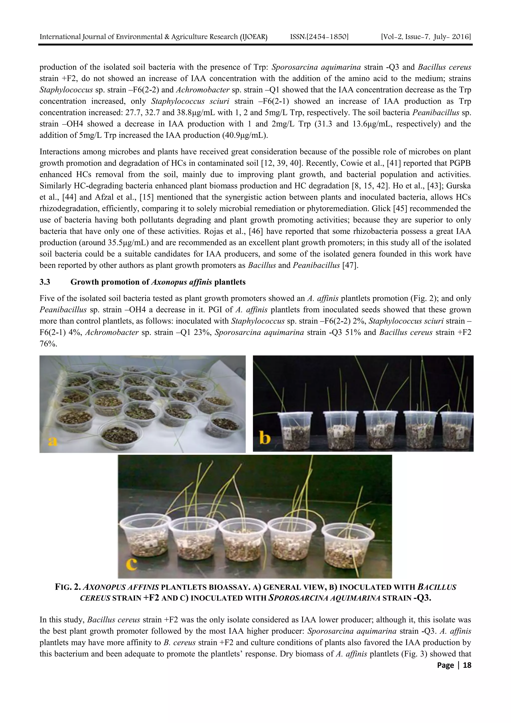 Plant growth promoting characterization of soil bacteria isolated from ...