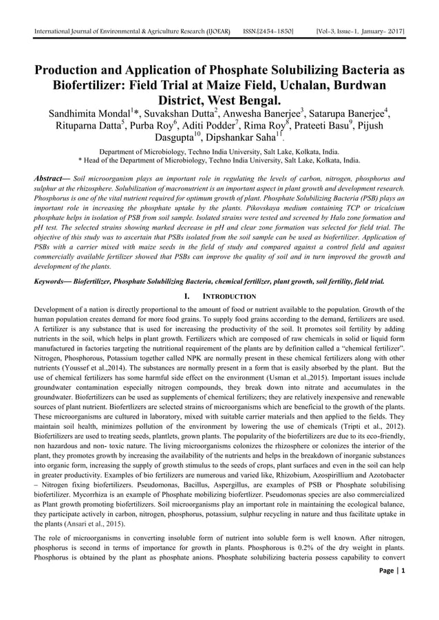 Production and Application of Phosphate Solubilizing Bacteria as