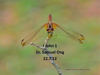 I John 1
Dr. Samuel Ong
     22.7.12

                 Dragonfly, Maxwell Hills, Taiping, June 2012
 
