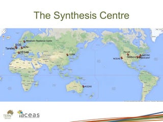 The Synthesis Centre
 