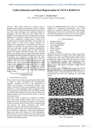 IJSRD - International Journal for Scientific Research & Development| Vol. 1, Issue 7, 2013 | ISSN (online): 2321-0613
All rights reserved by www.ijsrd.com 1525
Abstract— Plant Tissue Culture is a practice used to
propagate plants under sterile conditions, often to produce
clones of a plant. Different techniques in plant tissue culture
may offer certain advantages over traditional methods of
propagation. We have taken the Vigna radiata seeds as
explant for callus induction and shoot regeneration. Because
Mungbean is a food grain, legume crop all over the world.
This crop is regarded as a quality pulse in India for its
excellent protein and high digestibility. Several biotic and
abiotic factors as well as low genetic variability are
supposed to be responsible for low production of this crop.
Explant was sterilized and inoculated on callus induction
and shoot regeneration medium separately supplemented
with hormones. The medium used for callus induction
includes MS medium and other hormones like 2,4-D and
Kinetin and medium used for shoot regeneration includes
MS medium and other hormones like Kinetin and BAP and
the explants were incubated in tissue culture lab under
aseptic conditions and light and temperature of 25 ±20C was
provided. After first week, discolorations of explants were
observed, after 3 weeks small proliferations appeared on the
explant surface. The undifferentiated mass of cells i.e. callus
is developed after 5 weeks. In shoot regeneration culture
tubes after 2 weeks leaf primordia was observed, and the
differentiation and elongation of shoots were observed
during 6 weeks.
I. INTRODUCTION
A. PLANT TISSUE CULTURE
Tissue culture is the culture and maintenance of plant cells
or organs in sterile, nutritionally and environmentally
supportive conditions (in vitro). It has applications in
research and commerce. In commercial settings, tissue
culture is primarily used for plant propagation and is often
referred to as micro propagation. Micro propagation refers
to the production of whole plants from cell cultures derived
from explants (the initial piece of tissue put into culture); the
explants usually consist of tissues that contain or develop
into meristem cells.
Plant tissue culture is defined as a collection of methods
used to grow large numbers of plant cells, in vitro, in an
aseptic and closely controlled environment. This technique
is effective because almost all plant cells are totipotent each
cell possesses the genetic information and cellular
machinery necessary to generate an entire organism.
Plant tissue culture relies on the fact that many plant cells
have the ability to regenerate a whole plant (totipotency).
Single cells, plant cells without cell walls (protoplasts),
pieces of leaves, or (less commonly) roots can often be used
to generate anew plant on culture media given the required
nutrients and the plant hormones.
Callus is an undifferentiated mass of cells. It is usually of
composed of unspecialized parenchyma cells. Callus
cultures are extremely important in plant Biotechnology.
Manipulation of the auxin to cytokinin ratio in the medium
can lead to development of shoots, roots or somatic embryos
from which whole plants can subsequently be produced.
II. VIGNA RADIATA
1 Kingdom: Plantae
2 Division: Magnoliphyta
3 Class: Magnoliopsdia
4 Order: Fabales
5 Family: Fabaceae
6 Genus: Vigna
7 Spieces: V.radiata
Mung bean also known as green bean, mongo, moog dal (in
Bengali), mash bean, or monggo, green gram, golden gram,
and green soy, is the seed of Vigna radiate, which is native
to Bangladesh, India, and Pakistan. The split bean is known
as moong dal, which is green with the husk, and yellow
when dehusked. The beans are small, ovoid in shape, and
green in colour. The English word "mung" derives from the
Hindi moong
The mung bean is one of many species recently moved from
the genus Phaseolus to Vigna and is still often seen cited as
Phaseolus aureus or Phaseolus radiatus. These variations of
nomenclature have been used regarding the same plant
species.
Fig 1: The mung bean
Callus Induction and Shoot Regeneration in VIGNA RADIATA
Vivek Jain1
V. Madhu Babu2
1
M.sc, Bhavans new science college, Narayanguda
 