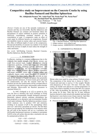 IJSRD - International Journal for Scientific Research & Development| Vol. 1, Issue 8, 2013 | ISSN (online): 2321-0613
All rights reserved by www.ijsrd.com 1592
Comparitive study on Improvement on the Concrete Cracks by using
Bacillus Pastuerii and Bacillus Sphaericus
Mr. Abhijitsinh Parmar1
Mr. Ankit Patel2
Mr. Parin Patel3
Mr. Parin Patel 3
Mr. Harshad Patel4
Mr. Harsh Patel5
1, 2
Asst. Professor 3, 4, 5
M. Tech
1
SVBIT, Gandhinagar
Abstract—Cracks are one of the naturally weaknesses of
concrete and they are irreversible. Bacillus Sphaericus and
Bacillus Pastuerii are common soil bacterium induce the
precipitation of calcite exhibited its positive potential in
selectively consolidating simulated fractures in the
consolidation of sand. A comparative study on effect of
crack repair by different bacteria on compression, flexural
and durability tested on mortar cubes and concrete beams.
The effect of different depth of crack on the compression,
flexural and durability of concrete was studied. It was found
that all the increase in depth of crack reduce the strength of
cubes and beams.
Key words: Self-Healing Concrete, Bacterial Concrete,
Bacillus Sphaericus, Bacillus Pastuerii
I. INTRODUCTION
In concrete, cracking is a common phenomenon due to the
relatively low tensile strength. High tensile stresses can
result from external loads, imposed deformations (due to
temperature gradients, confined shrinkage, and differential
settlement), plastic shrinkage, plastic settlement, and
expansive reactions (e.g. due to reinforcement corrosion,
alkali silica reaction, sulphate attack). Without immediate
and proper treatment, cracks tend to expand further and
eventually require costly repair. Durability of concrete is
also impaired by these cracks, since they provide an easy
path for the transport of liquids and gasses that potentially
contain harmful substances. If micro-cracks grow and reach
the reinforcement, not only the concrete itself may be
attacked, but also the reinforcement will be corroded when it
is exposed to water and oxygen, and possibly carbon dioxide
and chlorides. Micro-cracks are therefore precursors to
structural failure [1].
In 1995, Gollapudi et al. ([2] as quoted by [3]),
were the first to introduce this novel technique in fixing
cracks with environmentally friendly biological processes.
Bacterially induced calcium carbonate precipitation has
been proposed as an alternative and environmental friendly
crack repair technique. Bacillus Sphaericus produces urease,
which catalyzes urea to produce CO2 and ammonia,
resulting in an increase of pH in the surroundings where
ions Ca2+ and CO32- precipitate as CaCO3. The first three
factors are provided by the metabolism of the bacteria while
the cell wall of the bacteria will act as a nucleation site
[4].Possible biochemical reactions in medium to precipitate
CaCO3 at the cell surface that provides a nucleation site can
be summarized as follows. [5]
Ca2+ + Cell → Cell-Ca2+
Cl- + HCO3- + NH3 → NH4Cl + CO32-
Cell-Ca2+ + CO32- → Cell-CaCO3↓
Fig. 1: Bacillus Pastuerii1
AND Bacillus Sphericus2
1 - Image courtesy: www.ufrgs.br and
2 - Image courtesy: AMBERGENE CORPORATION)
II. EXPERIMENTAL PROGRAM
Compressive strength studyA.
Fig. 2: Compression Test
Mortar cubes were made by using ordinary Portland cement.
The composition of the mortar mix is shown in Table 1.
Cement and sand ratio is used as 1:3 (by weight). Moulds
with dimensions of 70.6 mm× 70.6 mm× 70.6 mm. After
casting, all moulds were placed in a normal temperature of
room with a relative humidity of more than 90% for a period
of 24h. After de-moulding, the specimens were placed for
the curing for 28 days. After that for 28 days different
bacteria inserted in crack mixed with standard sand and after
that bacteria’s were feed at every 6 hours interval. And After
it Compression test carried out at 7th, 28th and 56th day.
Flexural strength studyB.
Fig. 3: Flexural Test
1 2
 