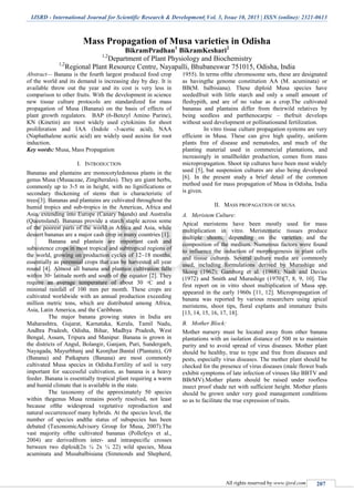 IJSRD - International Journal for Scientific Research & Development| Vol. 3, Issue 10, 2015 | ISSN (online): 2321-0613
All rights reserved by www.ijsrd.com 207
Mass Propagation of Musa varieties in Odisha
BikramPradhan1
BikramKeshari2
1,2
Department of Plant Physiology and Biochemistry
1,2
Regional Plant Resource Centre, Nayapalli, Bhubaneswar 751015, Odisha, India
Abstract— Banana is the fourth largest produced food crop
of the world and its demand is increasing day by day. It is
available throw out the year and its cost is very less in
comparison to other fruits. With the development in science
new tissue culture protocols are standardized for mass
propagation of Musa (Banana) on the basis of effects of
plant growth regulators. BAP (6-Benzyl Amino Purine),
KN (Kinetin) are most widely used cytokinins for shoot
proliferation and IAA (Indole -3-acetic acid), NAA
(Naphathalene acetic acid) are widely used auxins for root
induction.
Key words: Musa, Mass Propagation
I. INTRODUCTION
Bananas and plantains are monocotyledonous plants in the
genus Musa (Musaceae, Zingiberales). They are giant herbs,
commonly up to 3-5 m in height, with no lignifications or
secondary thickening of stems that is characteristic of
trees[3]. Bananas and plantains are cultivated throughout the
humid tropics and sub-tropics in the Americas, Africa and
Asia, extending into Europe (Canary Islands) and Australia
(Queensland). Bananas provide a starch staple across some
of the poorest parts of the world in Africa and Asia, while
dessert bananas are a major cash crop in many countries [1].
Banana and plantain are important cash and
subsistence crops in most tropical and subtropical regions of
the world, growing on production cycles of 12–18 months,
essentially as perennial crops that can be harvested all year
round [4]. Almost all banana and plantain cultivation falls
within 30◦ latitude north and south of the equator [2]. They
require an average temperature of about 30 ◦C and a
minimal rainfall of 100 mm per month. These crops are
cultivated worldwide with an annual production exceeding
million metric tons, which are distributed among Africa,
Asia, Latin America, and the Caribbean.
The major banana growing states in India are
Maharashtra, Gujarat, Karnataka, Kerala, Tamil Nadu,
Andhra Pradesh, Odisha, Bihar, Madhya Pradesh, West
Bengal, Assam, Tripura and Manipur. Banana is grown in
the districts of Angul, Bolangir, Ganjam, Puri, Sundergarh,
Nayagada, Mayurbhanj and Keonjhar.Bantal (Plantain), G9
(Banana) and Patkapura (Banana) are most commonly
cultivated Musa species in Odisha.Fertility of soil is very
important for successful cultivation, as banana is a heavy
feeder. Banana is essentially tropical plant requiring a warm
and humid climate that is available in the state.
The taxonomy of the approximately 50 species
within thegenus Musa remains poorly resolved, not least
because ofthe widespread vegetative reproduction and
natural occurrenceof many hybrids. At the species level, the
number of species andthe status of subspecies has been
debated (TaxonomicAdvisory Group for Musa, 2007).The
vast majority ofthe cultivated bananas (Pollefeys et al.,
2004) are derivedfrom inter- and intraspecific crosses
between two diploid(2n ¼ 2x ¼ 22) wild species, Musa
acuminata and Musabalbisiana (Simmonds and Shepherd,
1955). In terms ofthe chromosome sets, these are designated
as havingthe genome constitution AA (M. acuminata) or
BB(M. balbisiana). These diploid Musa species have
seededfruit with little starch and only a small amount of
fleshypith, and are of no value as a crop.The cultivated
bananas and plantains differ from theirwild relatives by
being seedless and parthenocarpic – thefruit develops
without seed development or pollinationand fertilization.
In vitro tissue culture propagation systems are very
efficient in Musa. These can give high quality, uniform
plants free of disease and nematodes, and much of the
planting material used in commercial plantations, and
increasingly in smallholder production, comes from mass
micropropagation. Shoot tip cultures have been most widely
used [5], but suspension cultures are also being developed
[6]. In the present study a brief detail of the common
method used for mass propagation of Musa in Odisha, India
is given.
II. MASS PROPAGATION OF MUSA
A. Meristem Culture:
Apical meristems have been mostly used for mass
multiplication in vitro. Meristematic tissues produce
multiple shoots, depending on the varieties and the
composition of the medium. Numerous factors were found
to influence the induction of morphogenesis in plant cells
and tissue cultures. Several culture media are commonly
used, including formulations derived by Murashige and
Skoog (1962); Gamborg et al. (1968); Nash and Davies
(1972) and Smith and Murashige (1970)[7, 8, 9, 10]. The
first report on in vitro shoot multiplication of Musa spp.
appeared in the early 1960s [11, 12]. Micropropagation of
banana was reported by various researchers using apical
meristems, shoot tips, floral explants and immature fruits
[13, 14, 15, 16, 17, 18].
B. Mother Block:
Mother nursery must be located away from other banana
plantations with an isolation distance of 500 m to maintain
purity and to avoid spread of virus diseases. Mother plant
should be healthy, true to type and free from diseases and
pests, especially virus diseases. The mother plant should be
checked for the presence of virus diseases (male flower buds
exhibit symptoms of late infection of viruses like BBTV and
BBrMV).Mother plants should be raised under roofless
insect proof shade net with sufficient height. Mother plants
should be grown under very good management conditions
so as to facilitate the true expression of traits.
 