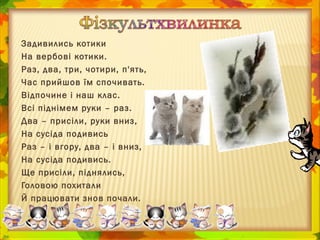 Задивились котики
На вербові котики.
Раз, два, три, чотири, п'ять,
Час прийшов їм спочивать.
Відпочине і наш клас.
Всі піднімем руки – раз.
Два – присіли, руки вниз,
На сусіда подивись
Раз – і вгору, два – і вниз,
На сусіда подивись.
Ще присіли, піднялись,
Головою похитали
Й працювати знов почали.
 