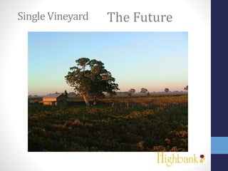 Single Vineyard The Future
 