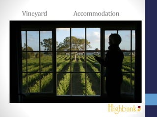 Vineyard Accommodation
 