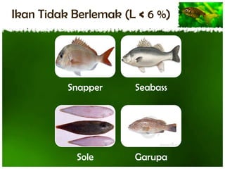 Ikan Tidak Berlemak (L < 6 %)

Snapper

Seabass

Sole

Garupa

 