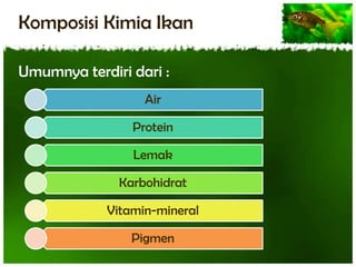 Komposisi Kimia Ikan
Umumnya terdiri dari :
Air

Protein
Lemak
Karbohidrat
Vitamin-mineral

Pigmen

 