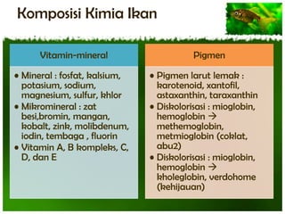 Komposisi Kimia Ikan
Vitamin-mineral
• Mineral : fosfat, kalsium,
potasium, sodium,
magnesium, sulfur, khlor
• Mikromineral : zat
besi,bromin, mangan,
kobalt, zink, molibdenum,
iodin, tembaga , fluorin
• Vitamin A, B kompleks, C,
D, dan E

Pigmen
• Pigmen larut lemak :
karotenoid, xantofil,
astaxanthin, taraxanthin
• Diskolorisasi : mioglobin,
hemoglobin 
methemoglobin,
metmioglobin (coklat,
abu2)
• Diskolorisasi : mioglobin,
hemoglobin 
kholeglobin, verdohome
(kehijauan)

 