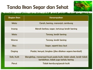 Tanda Ikan Segar dan Sehat
Bagian Ikan

Kenampakan

Mata

Cerah, bening, menonjol, cembung

Insang

Merah berbau segar, tertutup lendir bening

Mata

Terang, lendir bening

Warna

Terang, lendir bening

Bau

Segar, seperti bau laut

Daging

Padat, kenyal, bingkas (jika ditekan segera kembali)

Sisik, Kulit

Mengkilap, menempel kuat pada kulit, tidak sobek, lendir tidak
berlebihan, tidak juga terlalu kering

Perut

Tidak kembung/pecah kulit

 
