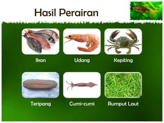 Hasil Perairan

Ikan

Udang

Kepiting

Teripang

Cumi-cumi

Rumput Laut

 