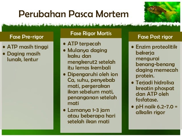 Ikan dan Hasil Perairan Ikan dan Hasil Perairan