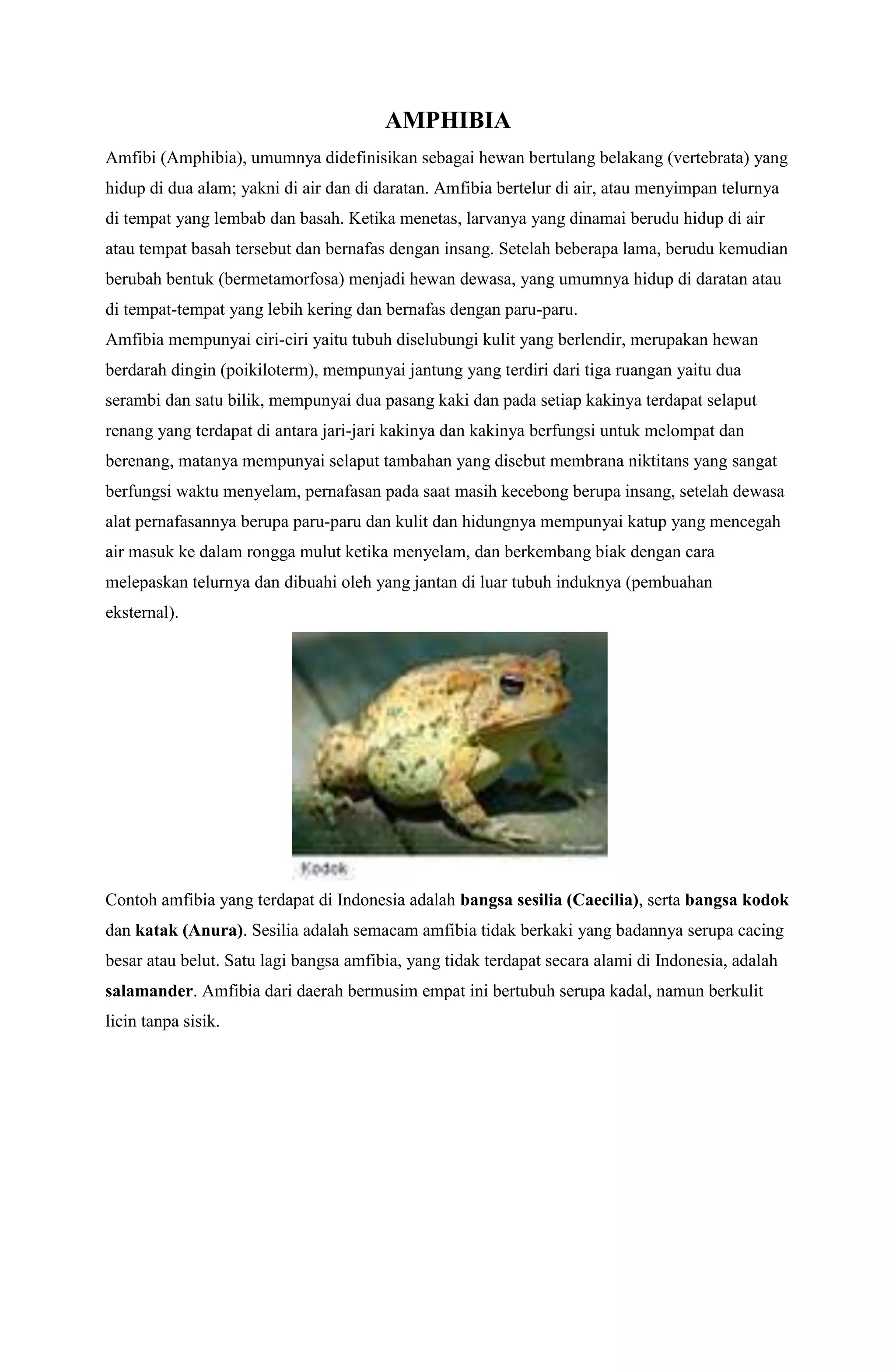 KLASIFIKASI HEWAN Ikan (PISCES), Burung (AVES), MAMALIA, AMPHIBIA