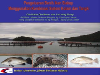 Ikan Air Tawar