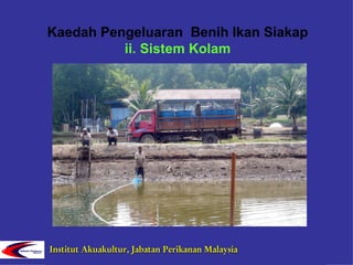 Ikan Air Tawar