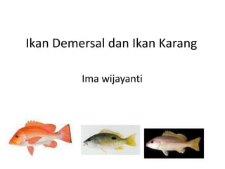 Ikan Demersal dan Ikan Karang
Ima wijayanti
 