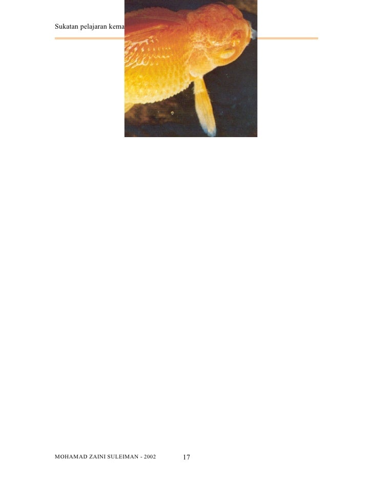 Ubat Ikan Hiasan - Seluruh v