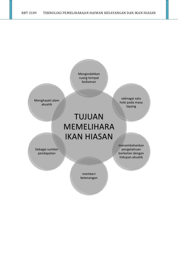 Ikan Hiasan Full