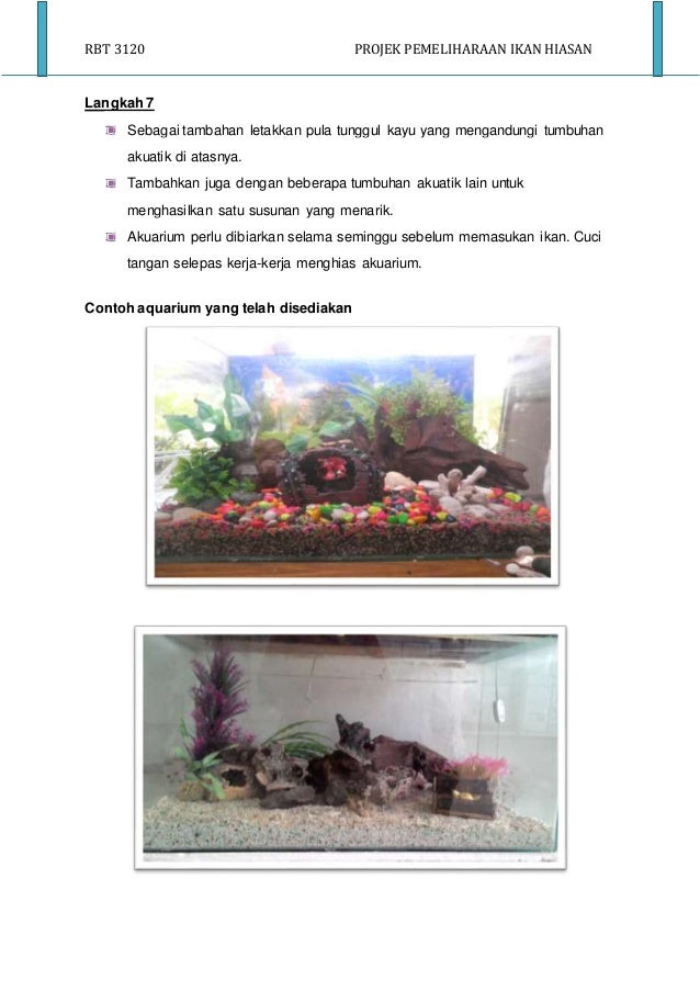 Ikanhiasanful Siap Edit