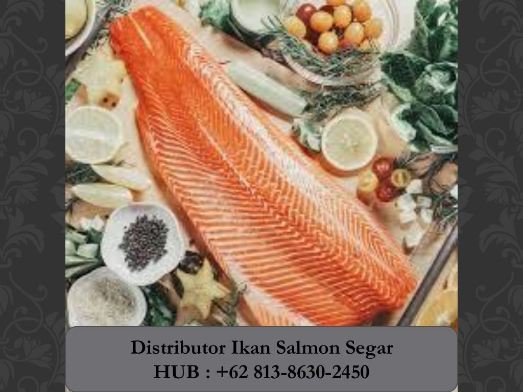 READY +62.813.8630.2450, Agen Beli Ikan Salmon Di Freezer Tahan Berapa