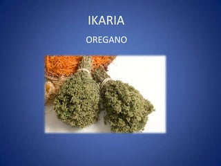 IKARIA
OREGANO
 