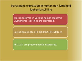 ikaros gene expression in human non-lymphoid leukemia cell line 