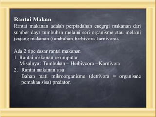 Rantai Makan
Rantai makanan adalah perpindahan enegrgi makanan dari
sumber daya tumbuhan melalui seri organisme atau melalui
jenjang makanan (tumbuhan-herbivora-karnivora).
Ada 2 tipe dasar rantai makanan
1. Rantai makanan rerumputan
Misalnya : Tumbuhan – Herbivcora – Karnivora
2. Rantai makanan sisa
Bahan mati mikroorganisme (detrivora = organisme
pemakan sisa) predator.

 