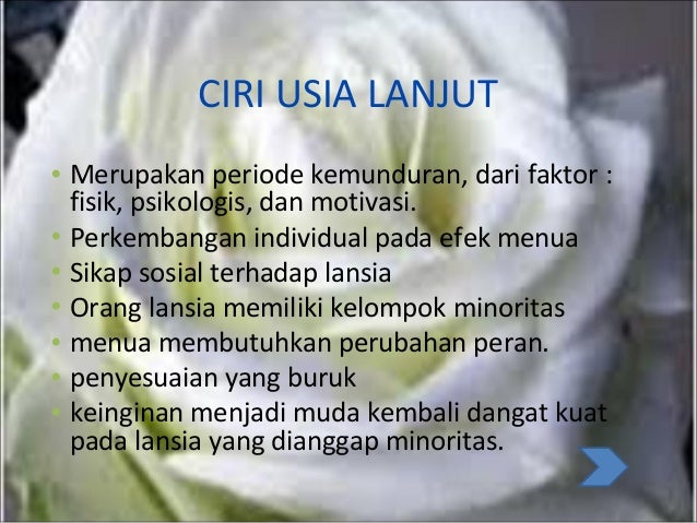 Ikd 1 Masa Pubertas Lansia Ikd 1 Masa Pubertas Lansia