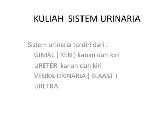 KULIAH SISTEM URINARIA
Sistem urinaria terdiri dari :
GINJAL ( REN ) kanan dan kiri
URETER kanan dan kiri
VESIKA URINARIA ( BLAAST )
URETRA
 