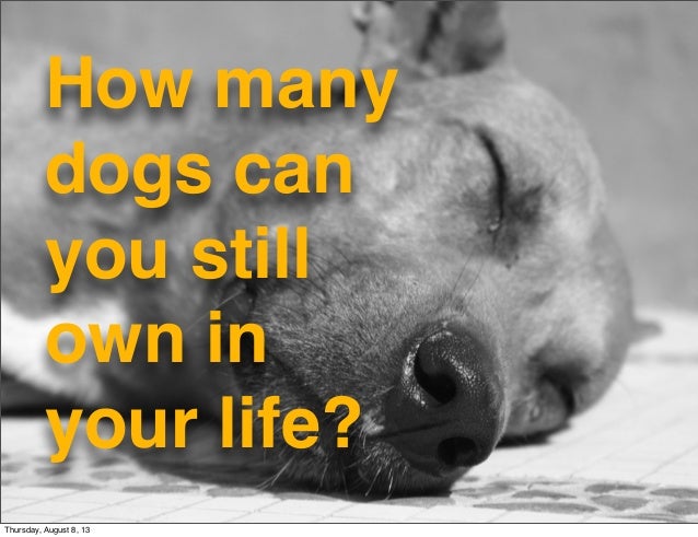 Ikea sustainability - What Matters @Work?