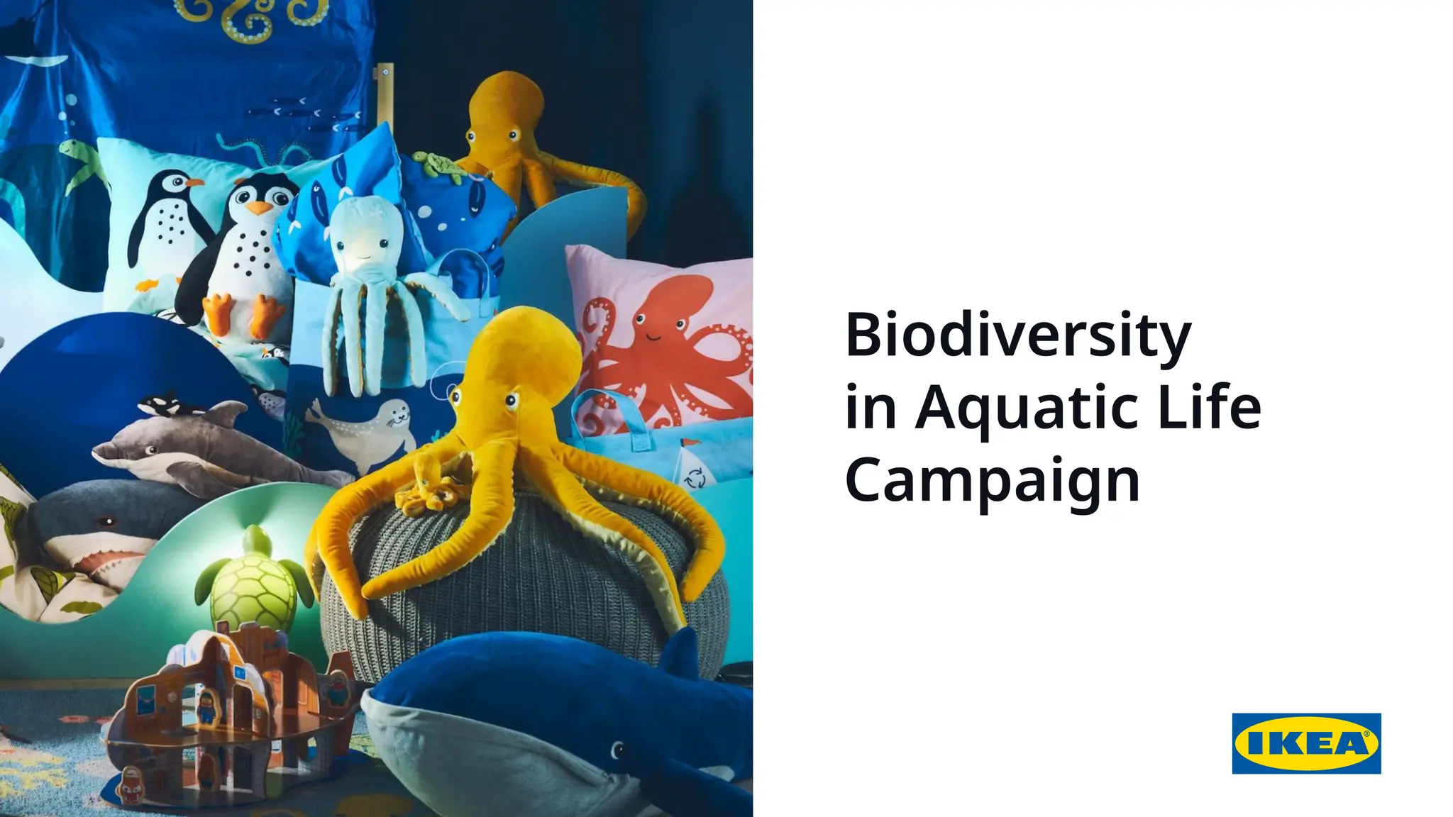 Biodiversity
in Aquatic Life
Campaign
 