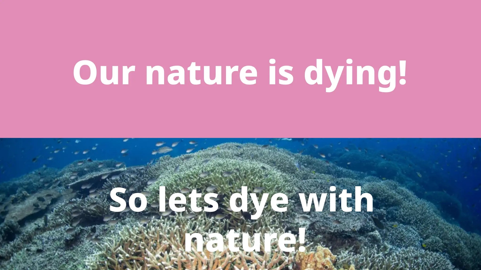 Our nature is dying!
So lets dye with
nature!
 
