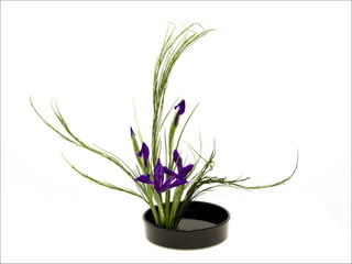 Ikebana  -__ (1)