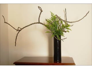 Ikebana  -__ (1)