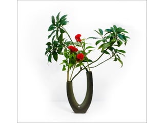 Ikebana  -__ (1)