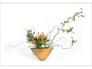 Ikebana  -__ (1)